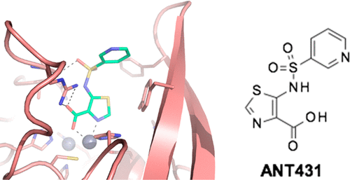 Sar Studies Leading To The Identification Of A Novel Series Of Metallo B Lactamase Inhibitors For The Treatment Of Carbapenem Resistant Enterobacteriaceae Infections That Display Efficacy In An Animal Infection Model Acs Infectious Diseases X Mol