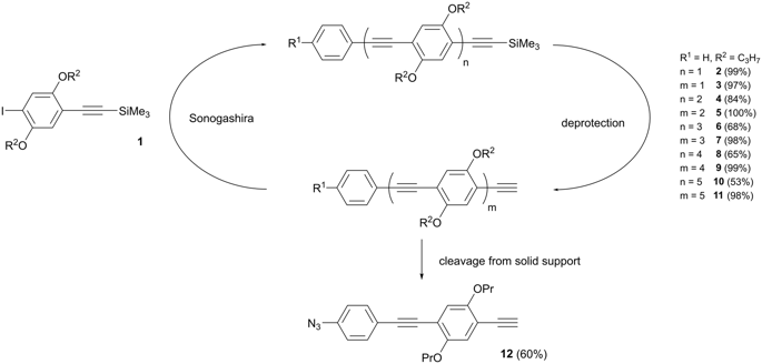 sequence-definition-in-stiff-conjugated-oligomers-scientific-reports