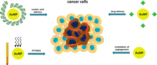 Gold Nanoparticles in Cancer Treatment,Molecular