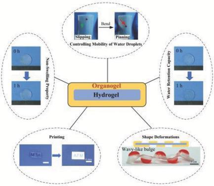 Macroscopic Layered Organogel–Hydrogel Hybrids With Controllable ...