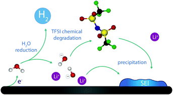 The role of the hydrogen evolution reaction in the solid–electrolyte  interphase formation mechanism for “Water-in-Salt” electrolytes†,Energy &  Environmental Science - X-MOL