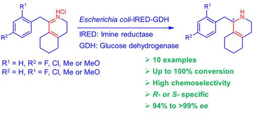 Imine Reductase‐Catalyzed Enantioselective Reduction Of Bulky α,β ...