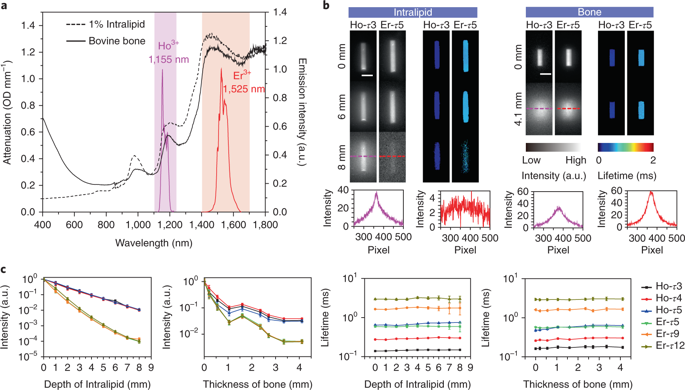 Lifetime-engineered NIR-II nanoparticles unlock multiplexed in