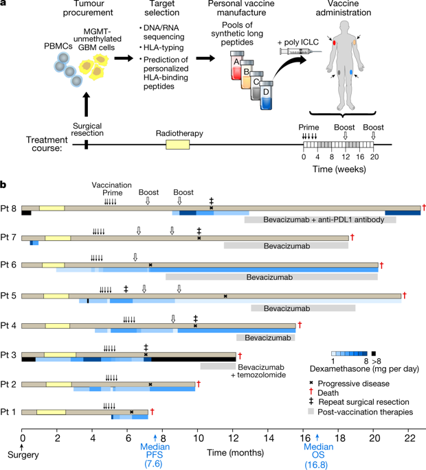 Neoantigen Vaccine Generates Intratumoral T Cell Responses In Phase Ib ...