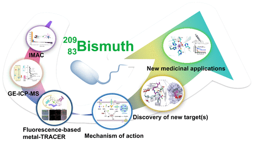 Systems Approaches For Unveiling The Mechanism Of Action Of Bismuth ...