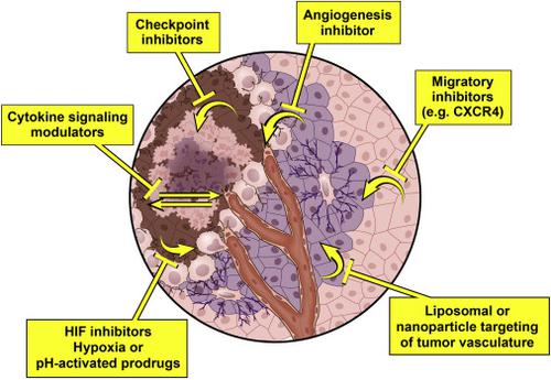 Cancer Stem Cells The Architects Of The Tumor Ecosystem Cell Stem Cell X Mol