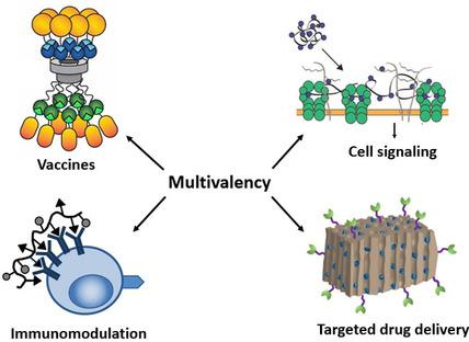 Designing Multivalent Ligands To Control Biological Interactions: From ...