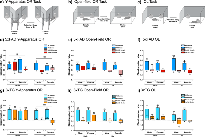 Dissociable Cognitive Impairments In Two Strains Of Transgenic Alzheimer S Disease Mice Revealed By A Battery Of Object Based Tests Scientific Reports X Mol