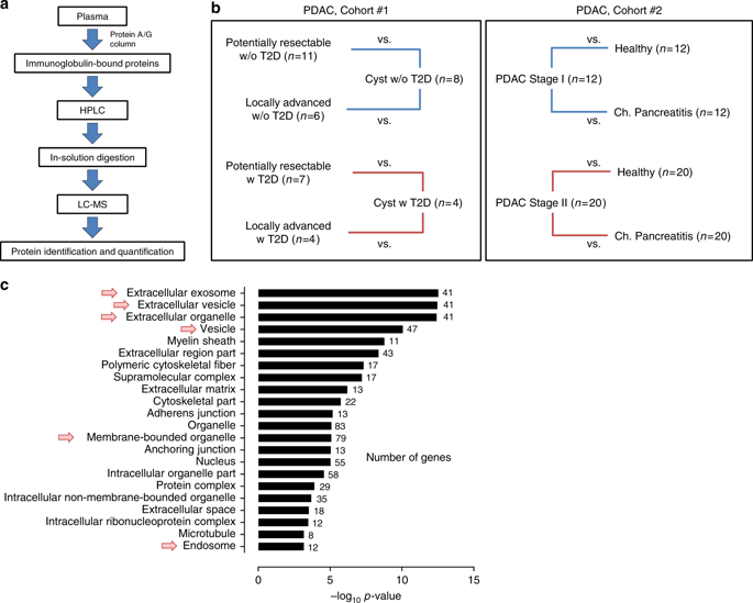 Exosomes Harbor B Cell Targets In Pancreatic Adenocarcinoma And Exert Decoy Function Against Complement Mediated Cytotoxicity Nature Communications X Mol