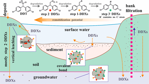 Formation And Fate Of Point Source Nonextractable Ddt Related Compounds On Their Environmental Aquatic Terrestrial Pathway Environmental Science Technology X Mol