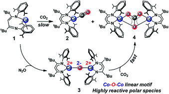 Reduction Of Co2 By A Masked Two Coordinate Cobalt I Complex And Characterization Of A Proposed Oxodicobalt Ii Intermediate Chemical Science X Mol