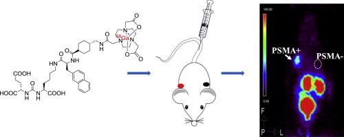 Synthesis And Preclinical Evaluation Of 68ga Psma Bch For Prostate Cancer Imaging Bioorganic Medicinal Chemistry Letters X Mol