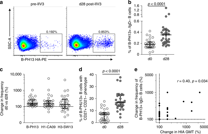 Cross Lineage Protection By Human Antibodies Binding The Influenza B Hemagglutinin Nature Communications X Mol