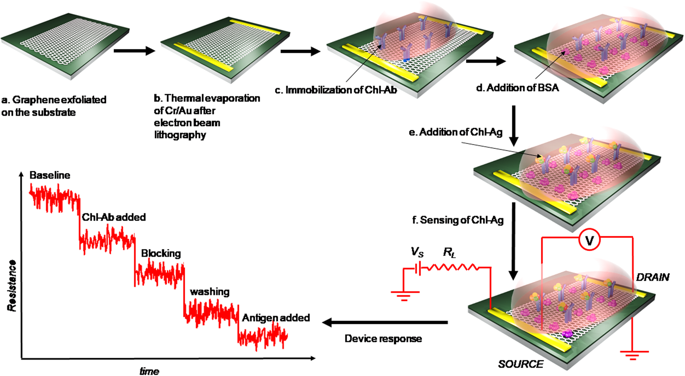 Graphene Field Effect Transistor