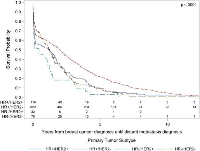 Characterization Of Bone Only Metastasis Patients With Respect To Tumor Subtypes Npj Breast Cancer X Mol