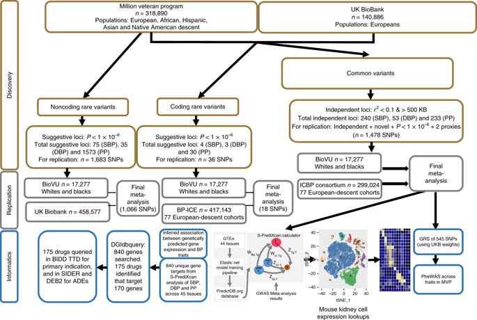 Trans Ethnic Association Study Of Blood Pressure Determinants In Over 750 000 Individuals Nature Genetics X Mol