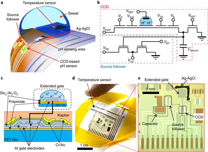 A Wearable PH Sensor With High Sensitivity Based On A Flexible Charge ...