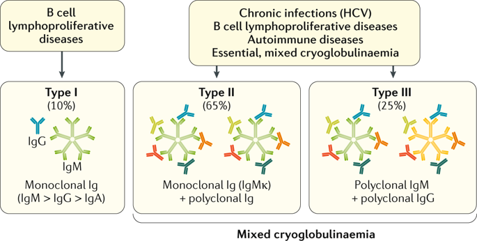 Cryoglobulinaemia.,Nature Reviews Disease Primers - X-MOL