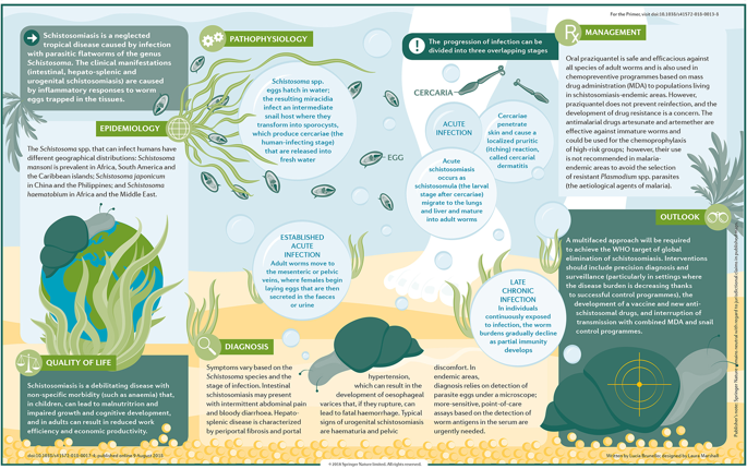 Research+and+efforts+to+combat+schistosomiasis