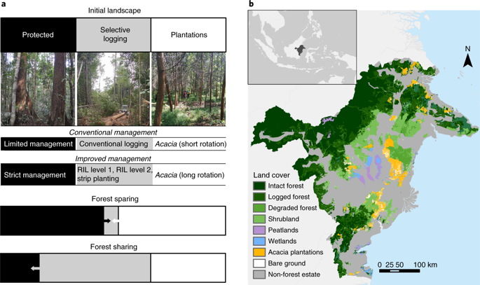 Larger Gains From Improved Management Over Sparing–sharing For Tropical ...