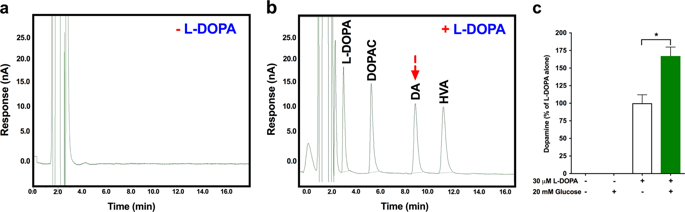 New Roles For Dopamine D2 And D3 Receptors In Pancreatic Beta Cell Insulin Secretion Molecular Psychiatry X Mol