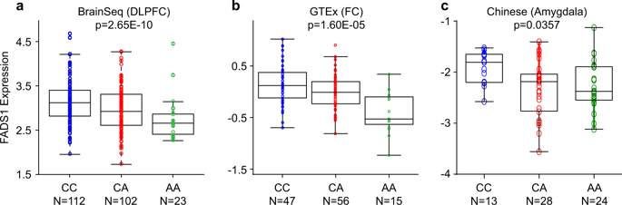 Replicated Associations Of Fads1 Mad1l1 And A Rare Variant At 10q26 13 With Bipolar Disorder In Chinese Population Translational Psychiatry X Mol