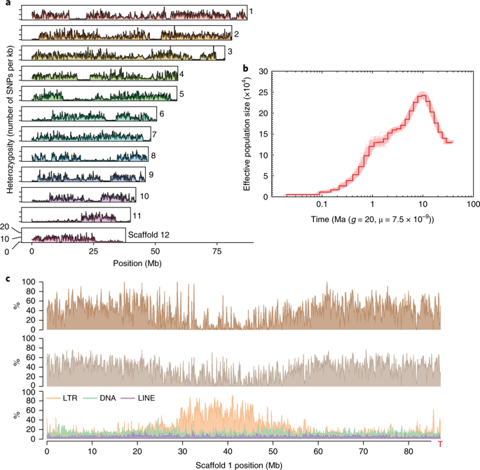 Stout Camphor Tree Genome Fills Gaps In Understanding Of Flowering Plant Genome Evolution Nature Plants X Mol