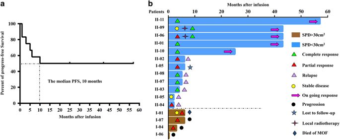 Long-term Safety And Efficacy Of CART-20 Cells In Patients With ...