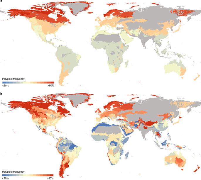 The Global Biogeography Of Polyploid Plants Nature Ecology Evolution X Mol