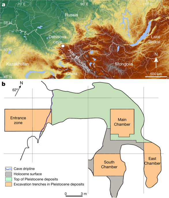 Timing Of Archaic Hominin Occupation Of Denisova Cave In Southern Siberia Nature X Mol