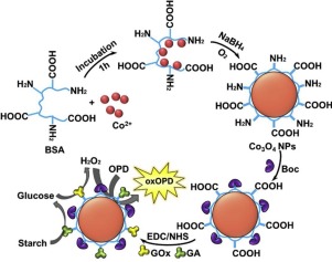 A universal one-pot assay strategy based on bio-inorganic cascade