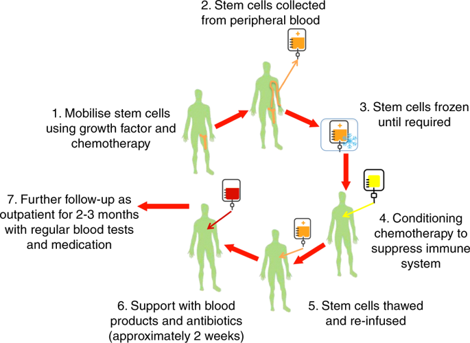 autologous stem cell transplant