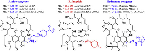 Synthesis Docking And Antibacterial Studies Of More Potent Amine And Hydrazone Rifamycin Congeners Than Rifampicin European Journal Of Medicinal Chemistry X Mol