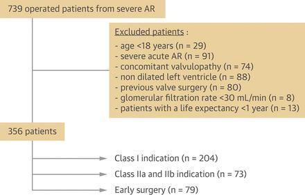 Do Guideline Based Indications Result In An Outcome Penalty For Patients With Severe Aortic Regurgitation Jacc Cardiovascular Imaging X Mol