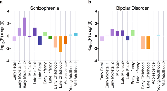 Dynamic Expression Of Genes Associated With Schizophrenia And Bipolar Disorder Across Development Translational Psychiatry X Mol