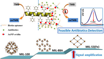 Novel Sensing Platform Based On Gold Nanoparticle-aptamer And Fe-metal ...