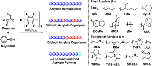 acrylate polymerization mechanism