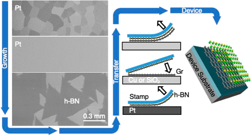 A Peeling Approach For Integrated Manufacturing Of Large Monolayer H Bn Crystals Acs Nano X Mol