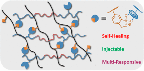 Injectable, Self-Healing, And Multi-Responsive Hydrogels Via Dynamic ...