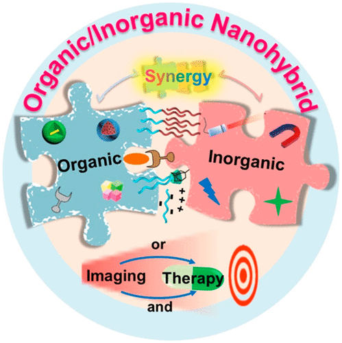 Versatile Types Of Organicinorganic Nanohybrids From Strategic Design To Biomedical 8151