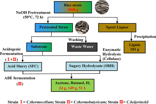 Features Of A Staged Acidogenic/Solventogenic Fermentation Process To ...