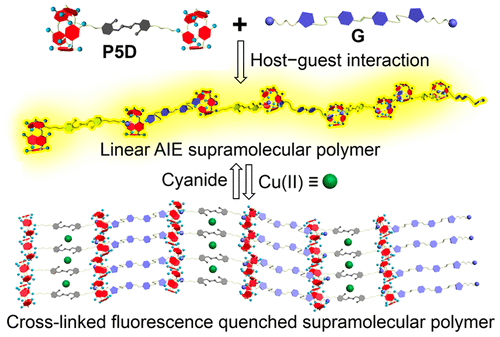 A Linear AIE Supramolecular Polymer Based On A Salicylaldehyde Azine ...