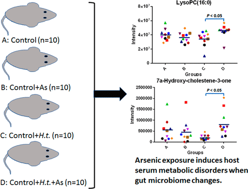 Serum Metabolomics Reveals That Gut Microbiome Perturbation Mediates Metabolic Disruption 6225