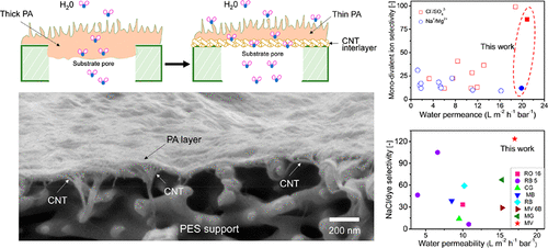 New Insights Into The Role Of An Interlayer For The Fabrication Of ...