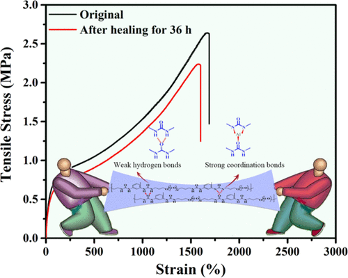 Robust, Stretchable, And Self-Healable Supramolecular Elastomers ...