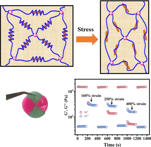 Mimicking Dynamic Adhesiveness And Strain-Stiffening Behavior Of ...