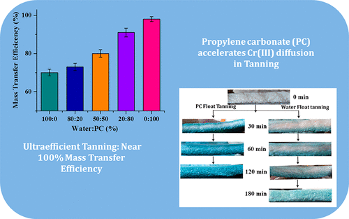 Ultraefficient Tanning Process: Role of Mass Transfer Efficiency