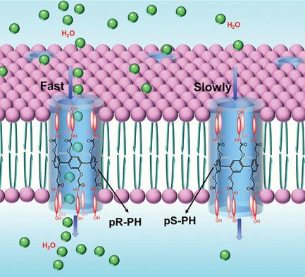 Hyperfast Water Transport Through Biomimetic Nanochannels From Peptide ...