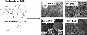 Mesoporous, Degradable Hyaluronic Acid Microparticles For Sustainable ...