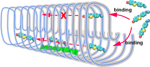 Free Energy Profile For Penetration Of Pittsburgh Compound-B Into The ...